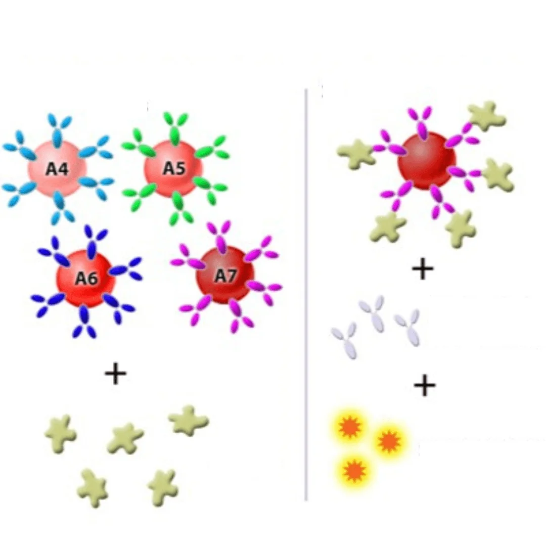 multiplex-elisa image